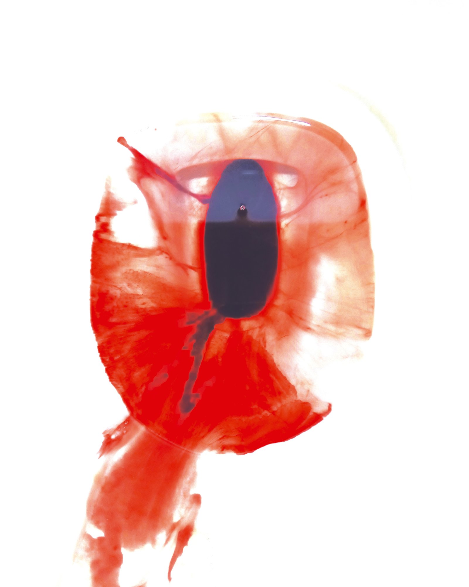 Rojo Residual